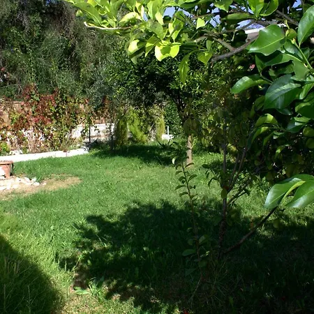 Apartament Armonia 1